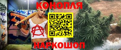 гидра Малгобек
