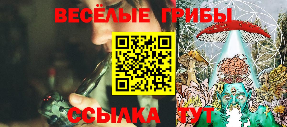 Псилоцибиновые грибы Magic Shrooms Тосно
