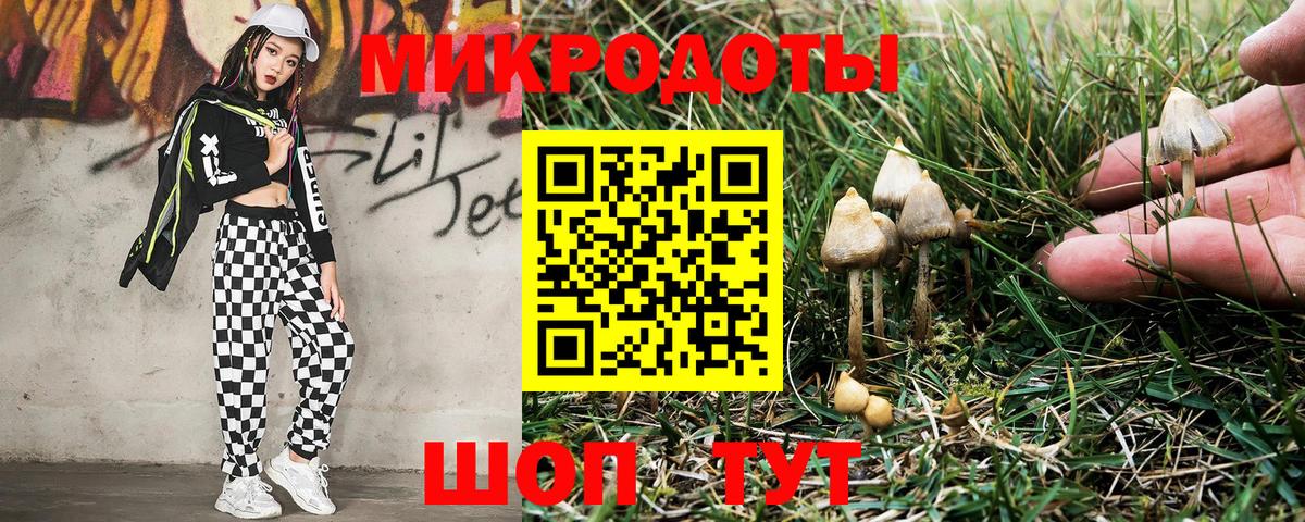 Тосно  Псилоцибиновые грибы MAGIC MUSHROOMS  Вход с VPN  Псилоцибиновые грибы прущие грибы 